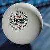 Nittaku Pelota Premium 40+ - Imagen 4